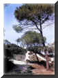 MARIA PIA25.JPG (37961 byte)