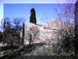 Purissima1.JPG (77401 byte)
