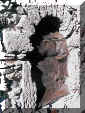 Purissima2.JPG (86250 byte)