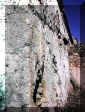 Purissima6.JPG (82479 byte)
