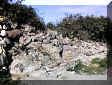 Purissima7.JPG (82775 byte)