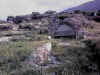 Villa romana14.JPG (66925 byte)