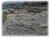 Villa romana17.JPG (56993 byte)