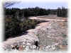 bocche di fuoco forte monte dolla.JPG (42852 byte)