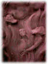 dettaglio balaustra 2cappellasx.JPG (52529 byte)