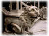 leone sx altare maggiore cattedrale.JPG (52992 byte)