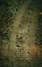 piano terra torre dei cani.JPG (104700 byte)